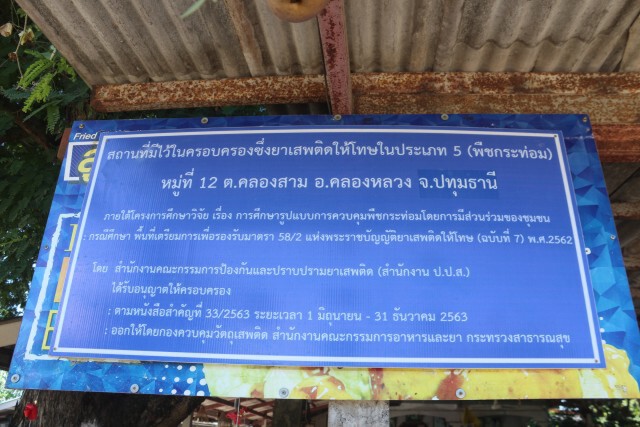 ชาวบ้านดีใจมหาดไทยไฟเขียวนำร่องปลูกพืชกระท่อม