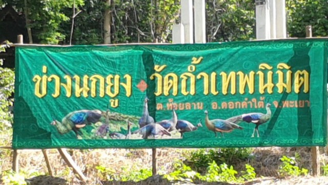 ทำ"ข่วงนกยูง"รับนักท่องเที่ยว-ชมใกล้ชิด