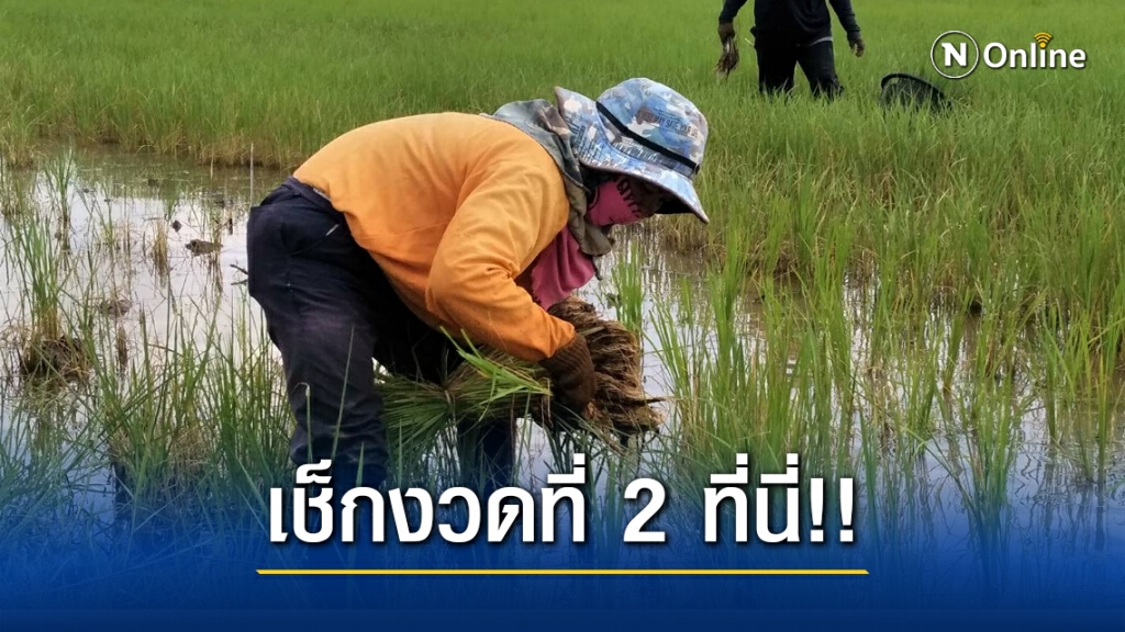 ตรวจสอบเงินประกันรายได้เกษตร จ่ายส่วนต่าง "ประกันราคาข้าว" งวด2 ล่าสุด