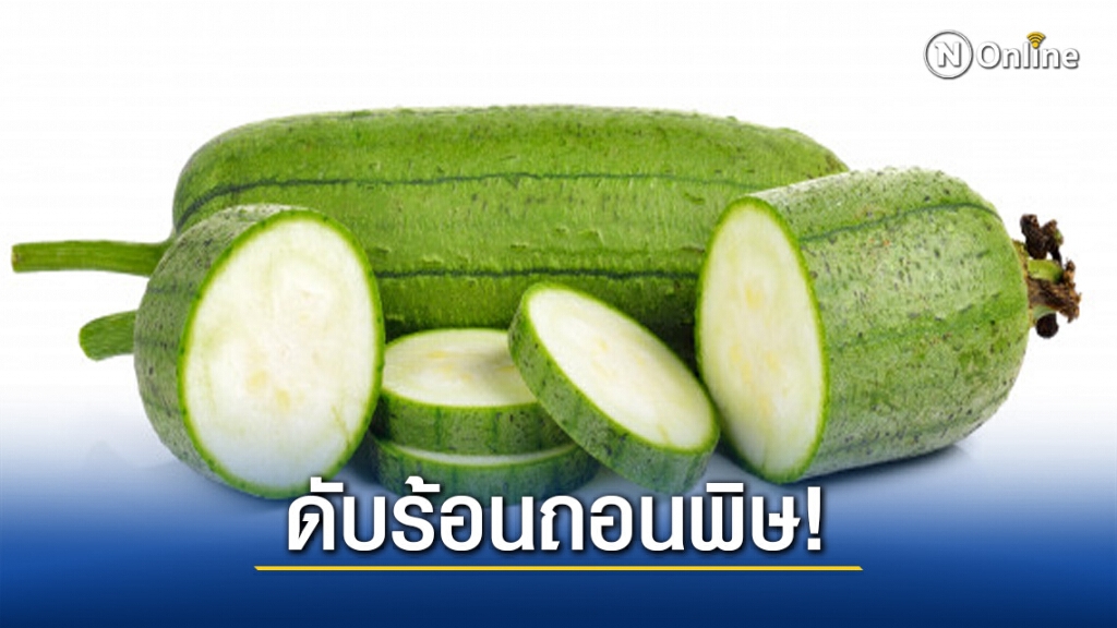 สมุนไพรใกล้ตัว "บวบหอม" ดับร้อนถอนพิษ!
