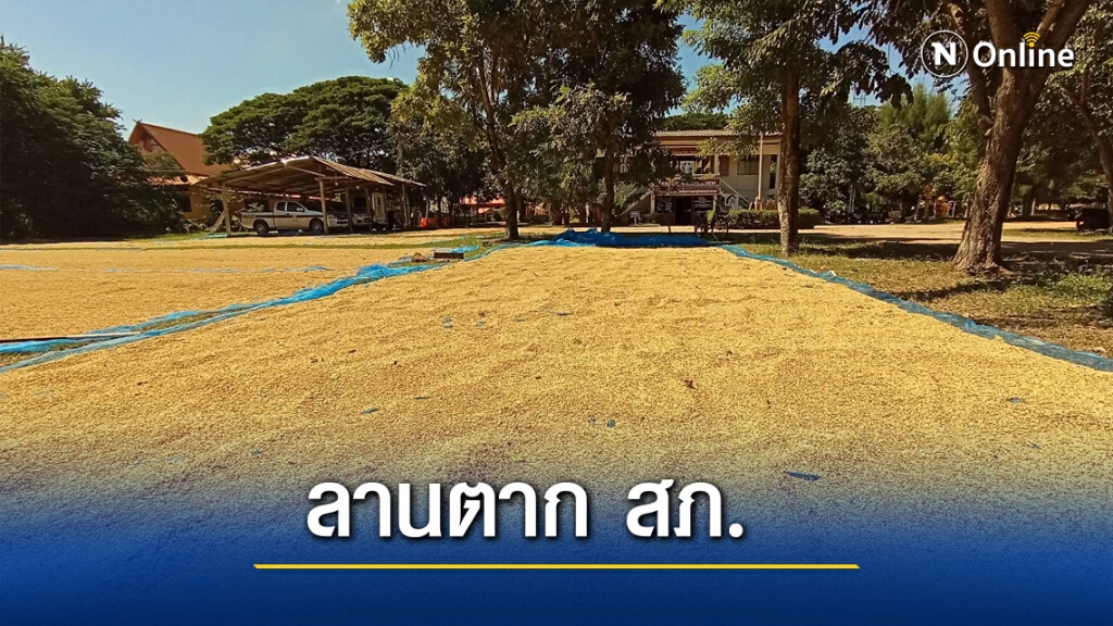 ตำรวจใจดีให้ชาวนาตากข้าวหน้า สภ. ตำรวจใจดีให้ชาวนาตากข้าวหน้า สภ.