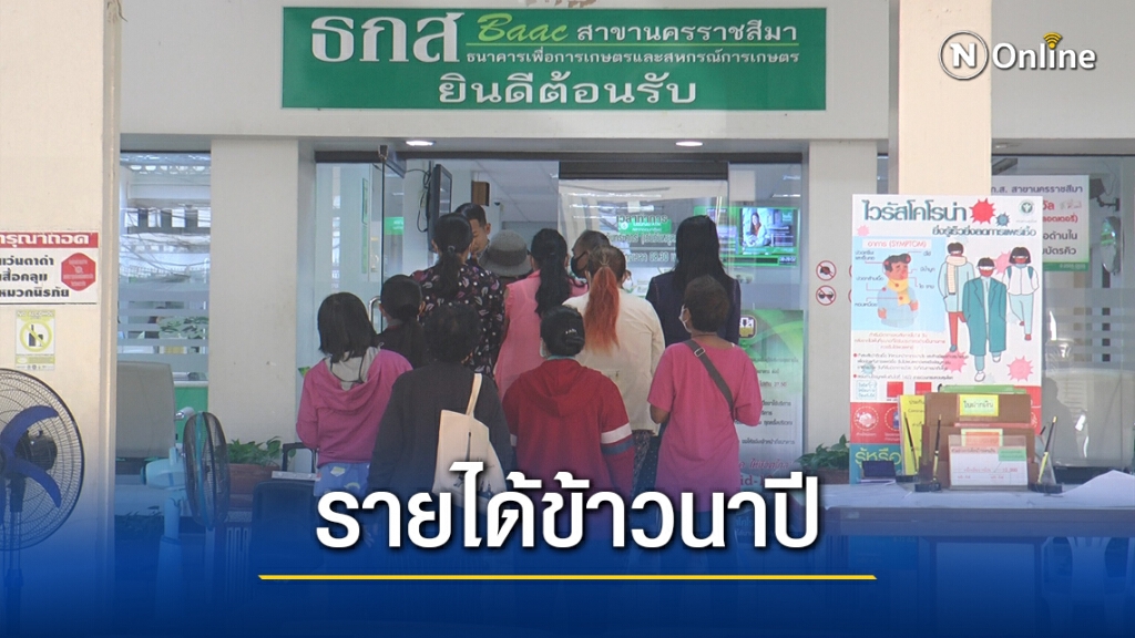 ชาวนาโคราช ทยอยรับเงินประกันรายได้ปลูกข้าวนาปี ชาวนาโคราช ทยอยรับเงินประกันรายได้ปลูกข้าวนาปี