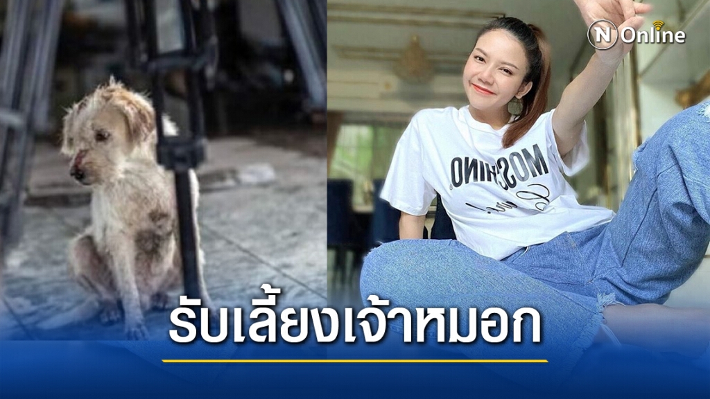 "จ๊ะ อาร์สยาม" ขอรับเลี้ยง "เจ้าหมอก" สุนัขผู้ซื่อสัตย์เหตุท่อก๊าซระเบิด "จ๊ะ อาร์สยาม" ขอรับเลี้ยง "เจ้าหมอก" สุนัขผู้ซื่อสัตย์เหตุท่อก๊าซระเบิด