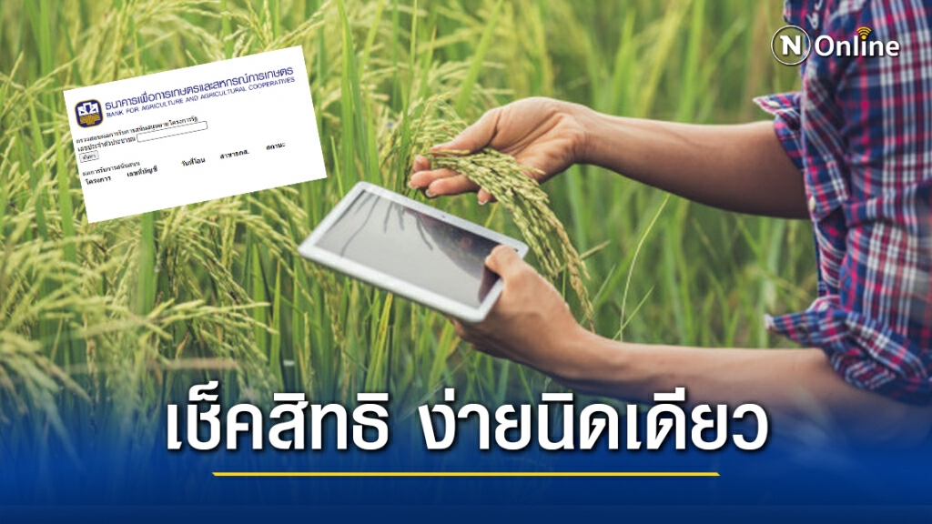 วิธีเช็คสิทธิตรวจสอบสถานะโอนเงิน ‘ประกันรายได้เกษตรกร’ ง่ายนิดเดียว