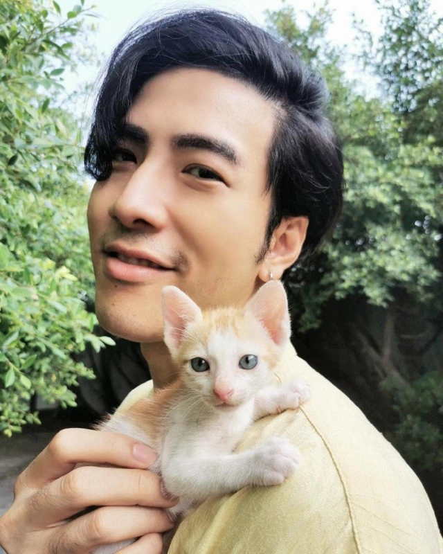 ทาสแมวต้องอ่าน "ขี้แมวขึ้นสมอง" โรคร้ายที่ทาสแมวควรระวัง!!