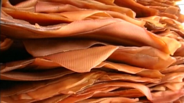 จี้ตรวจสอบภาษีย้อนหลัง 10 ปี 5 เสือ ส่งออกยาง