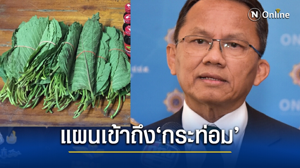ยธ.ปัดยกเลิก"โคเคน-ฝิ่น-มอร์ฟีน" แค่แผนเข้าถึง"กระท่อม"ตามวิถี