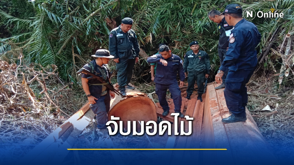 สุดทน ชาวบ้านแจ้งจับกลุ่มนายทุนตัดไม้ในป่าสงวนฯ สุดทน ชาวบ้านแจ้งจับกลุ่มนายทุนตัดไม้ในป่าสงวนฯ
