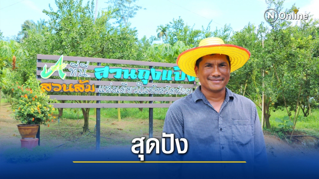 แห่เช็คอินสวนส้มหนึ่งเดียวในพังงา