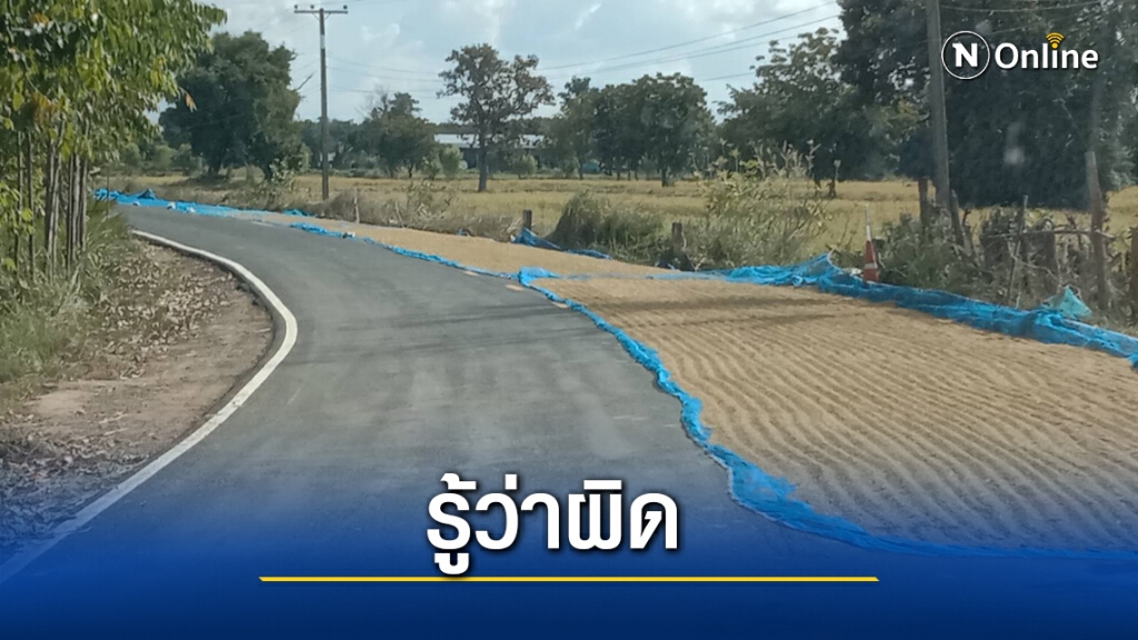 รู้ว่าผิดแต่ไม่มีที่ตากขอถนนเป็นลานข้าวเปลือกชั่วคราว รู้ว่าผิดแต่ไม่มีที่ตากขอถนนเป็นลานข้าวเปลือกชั่วคราว