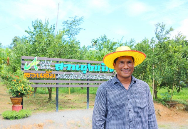 แห่เช็คอินสวนส้มหนึ่งเดียวในพังงา