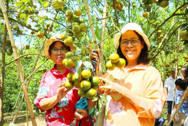 แห่เช็คอินสวนส้มหนึ่งเดียวในพังงา
