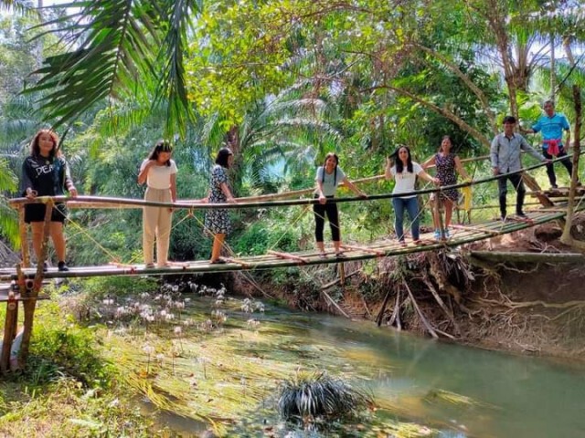 5 ปีฟื้นฟูสำเร็จราชินีไม้น้ำ "พลับพลึงธาร" ระนองคืนชีพ