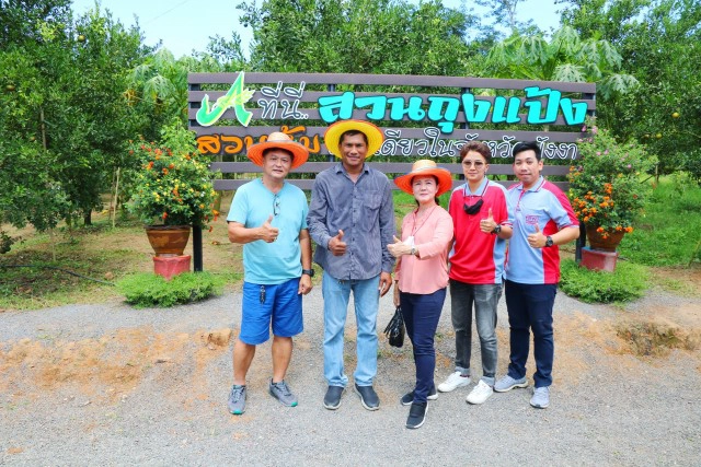 แห่เช็คอินสวนส้มหนึ่งเดียวในพังงา