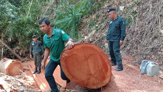 สุดทน ชาวบ้านแจ้งจับกลุ่มนายทุนตัดไม้ในป่าสงวนฯ