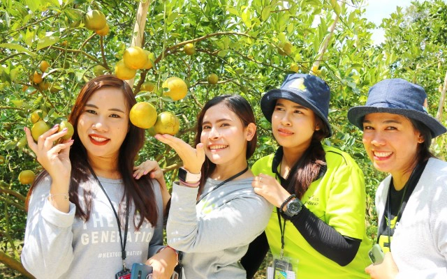 แห่เช็คอินสวนส้มหนึ่งเดียวในพังงา