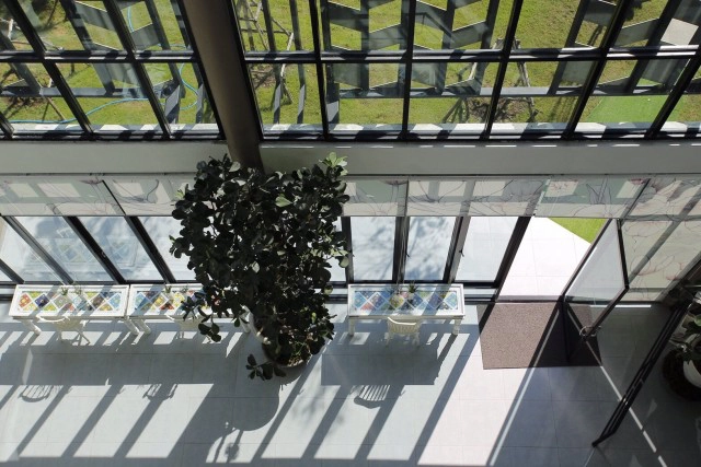 แพทย์ชี้ คนไทยขาดแคลเซียม-วิตามินดี เสี่ยงโรคกระดูกและภูมิคุ้มกันต่ำ แนะ เสริมวิตามินดี