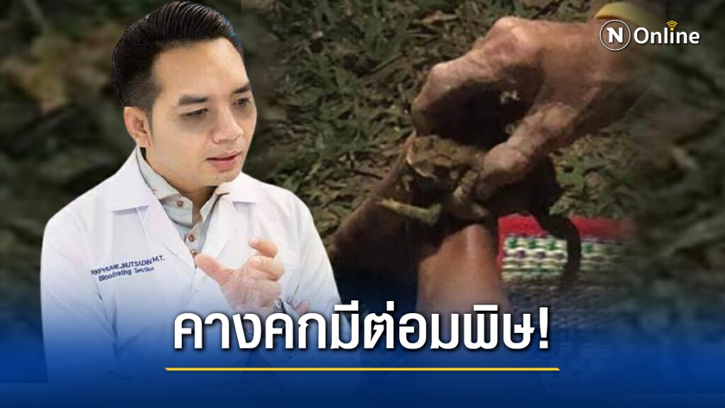 "หมอแล็บ" เตือนห้ามนำคางคกดูดพิษตะขาบ !!