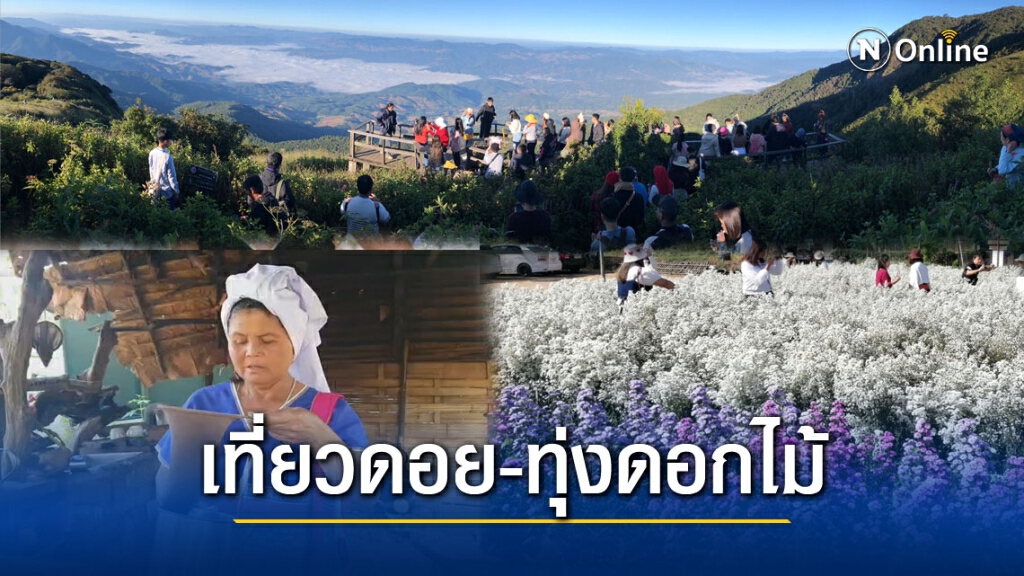 นักเที่ยวแห่ขึ้นดอยเชียงใหม่-ชมสวนดอกไม้