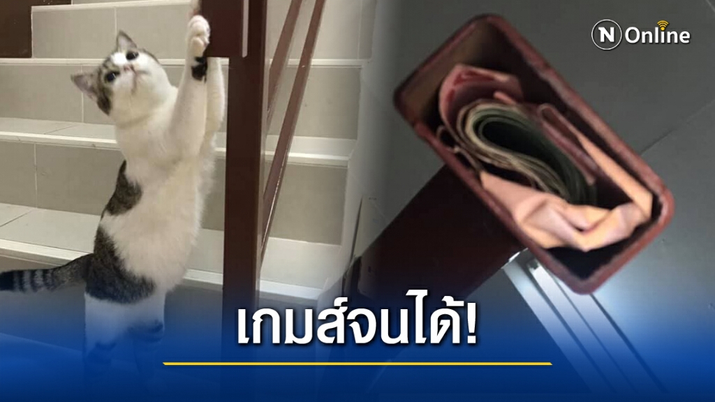 เหมียวแสนรู้ ชี้จุดพ่อบ้านซ่อนเงินภรรยา งานนี้ต้องเคลียร์! เหมียวแสนรู้ ชี้จุดพ่อบ้านซ่อนเงินภรรยา งานนี้ต้องเคลียร์!