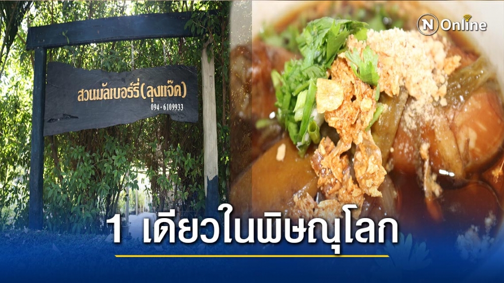 ชวนชิม"ก๋วยเตี๋ยวไก่ใบหม่อน"1 เดียวในพิษณุโลก
