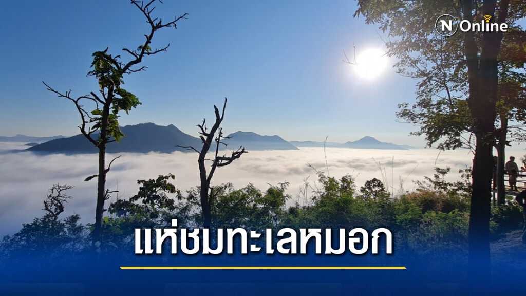 เปิดภาพทะเลหมอกที่ภูทอกเสน่ห์เมืองเชียงคานที่นักท่องเที่ยวนับพันแห่เข้าชม