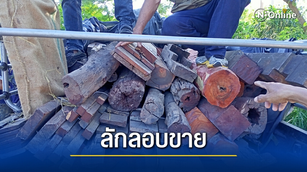 กำนันผู้ใหญ่บ้านตระเวนตรวจริมโขงยึดไม้พะยูงเต็มคันรถ กำนันผู้ใหญ่บ้านตระเวนตรวจริมโขงยึดไม้พะยูงเต็มคันรถ