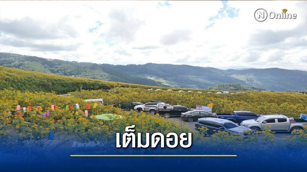 "แม่ฮ่องสอน"คึกคัก-นทท.เต็มดอย