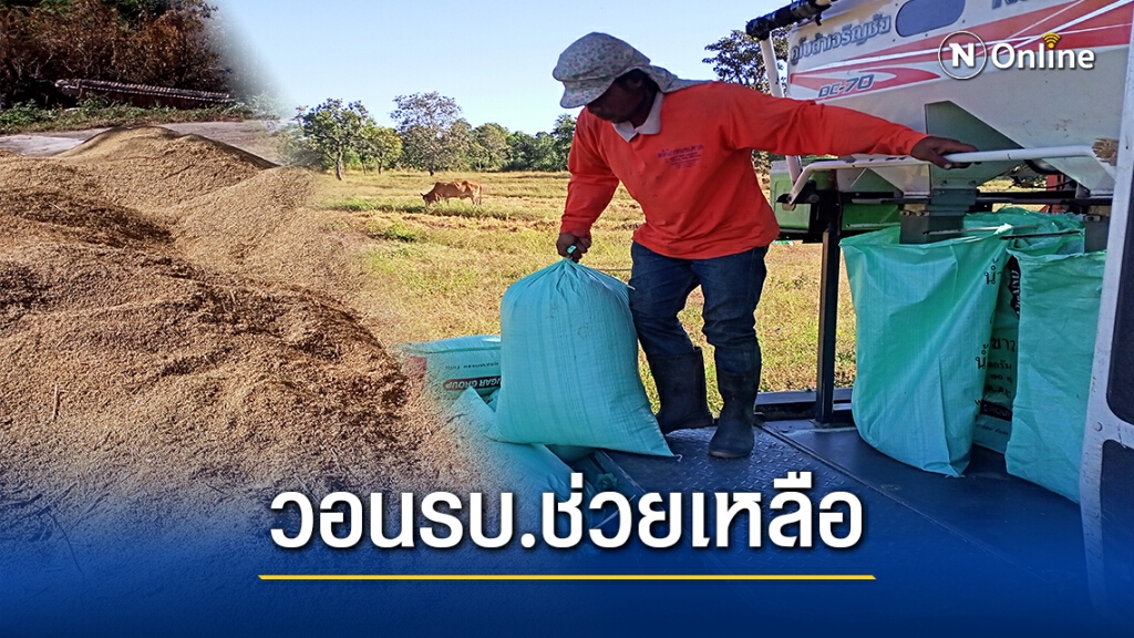 ชาวนาโวยฝนฟ้าดีแต่ราคาข้าวดิ่ง วอนรบ.ช่วยเหลือด่วน ชาวนาโวยฝนฟ้าดีแต่ราคาข้าวดิ่ง วอนรบ.ช่วยเหลือด่วน