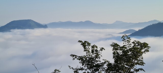 เปิดภาพทะเลหมอกที่ภูทอกเสน่ห์เมืองเชียงคานที่นักท่องเที่ยวนับพันแห่เข้าชม
