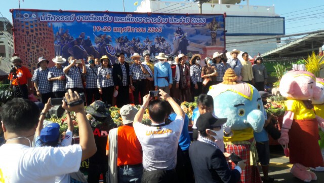 ปิดเมืองเลี้ยงอาหารช้าง 160 เชือกก่อนเปิดมหัศจรรย์งานช้าง