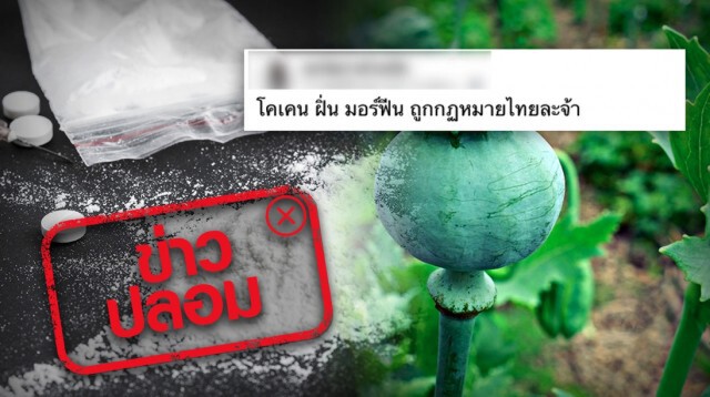 ข่าวปลอม! ถอดโคเคน มอร์ฟีน ฝิ่น ออกจากยาเสพติดให้โทษ