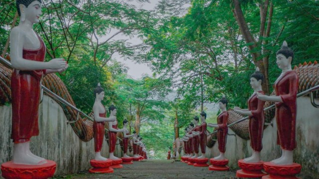 ชม"เมืองลี้"ท่ามกลางทะเลหมอก-ที่วัดพระพุทธบาทผาหนาม