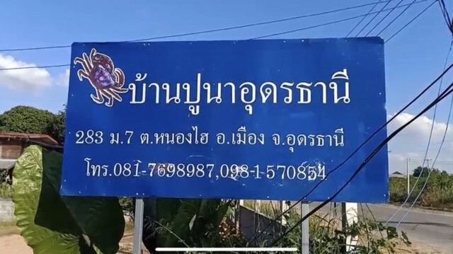 เพาะพันธุ์ปูนาขาย2ปีปลดหนี้เตรียมแปรรูปส่งนอก