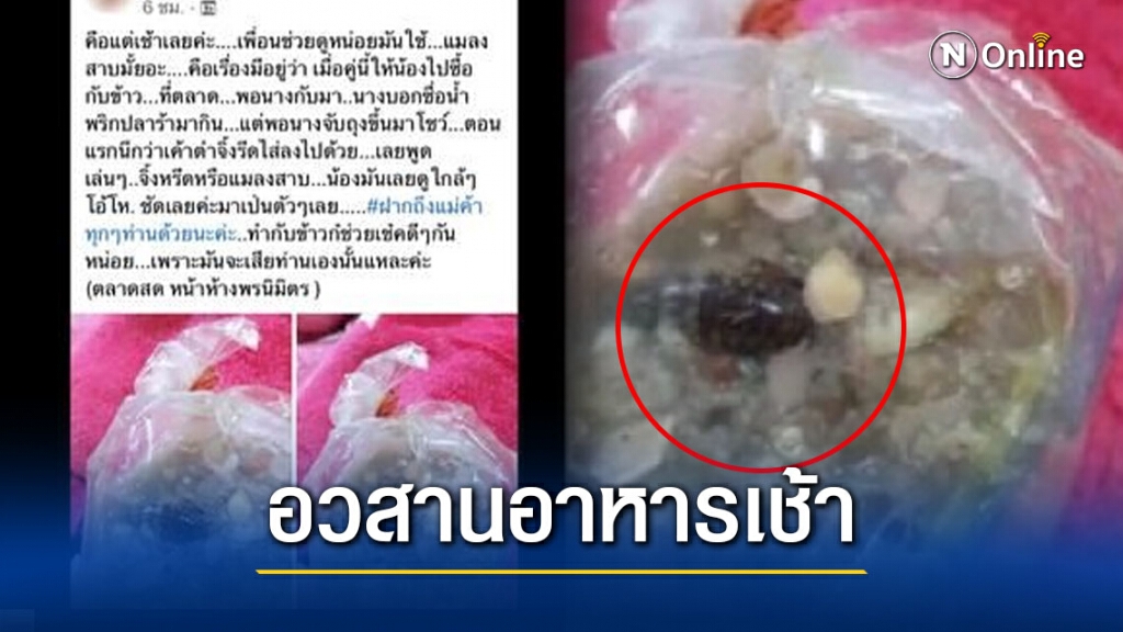 สาวฝากข้อความถึงแม่ค้า หลังซื้อน้ำพริกปลาร้าแถมแมลงสาบ! แม่ค้าในตลาด ยันเป็นแม่ค้าจร