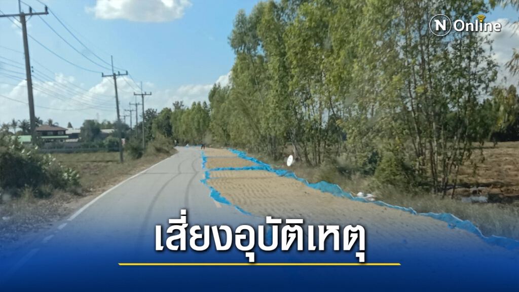 คนสัญจรเดือดร้อน ชาวนาตากข้าวเต็มถนนทางโค้ง คนสัญจรเดือดร้อน ชาวนาตากข้าวเต็มถนนทางโค้ง
