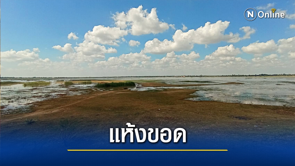 บึงกระโตนโคราชแห้งขอด มีน้ำใช้การได้เพียง 1 ล้านลบ.ม. บึงกระโตนโคราชแห้งขอด มีน้ำใช้การได้เพียง 1 ล้านลบ.ม.
