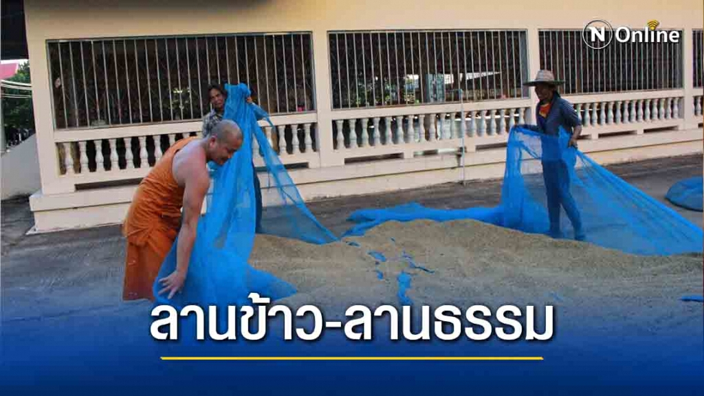 วัดจัดลานบุญลานธรรม ให้ชาวนานำข้าวเปลือกตากไล่ความชื้น