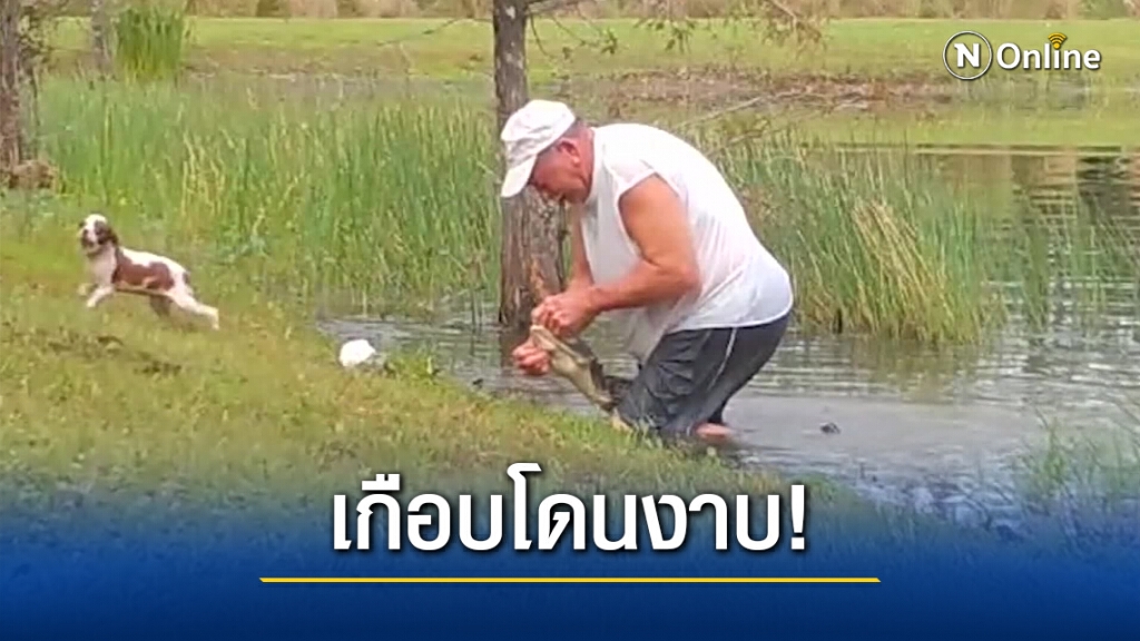 ระทึก! ปู่กระโดดลงน้ำง้างปากจระเข้ช่วยลูกสุนัข