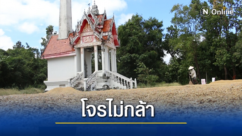 ตากข้าวลานหน้าเมรุปลอดภัยป้องกันขโมย 2 ชั้น ตากข้าวลานหน้าเมรุปลอดภัยป้องกันขโมย 2 ชั้น
