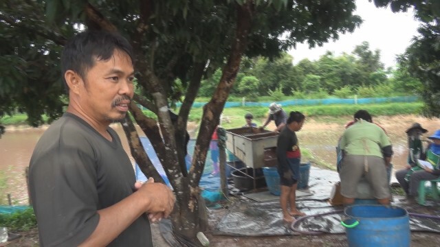 อากาศหนาวกระทบปลาไม่กินอาหาร