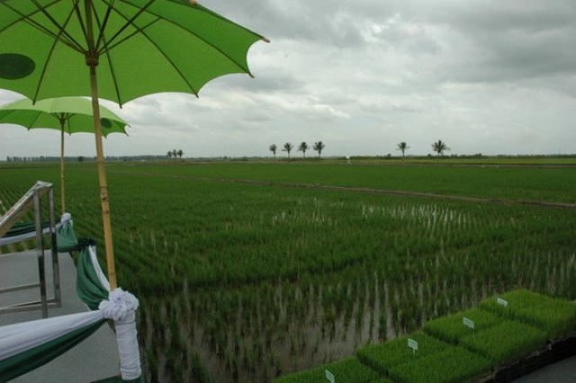 'โฉนดที่ดิน'ฉบับแรกของไทย