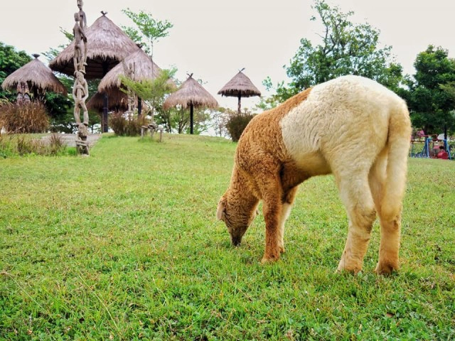 เผยแนวโน้มการท่องเที่ยว และจุดหมายปลายทางยอดนิยมปี 64