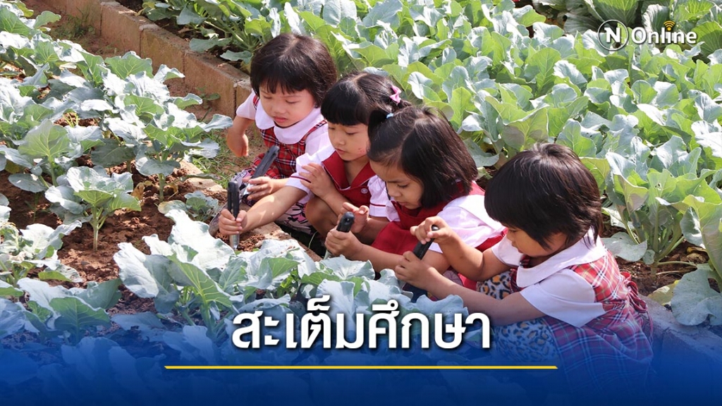 ปลูกผักกินเอง-ขายเอง"สร้างค่านิยมกินผัก
