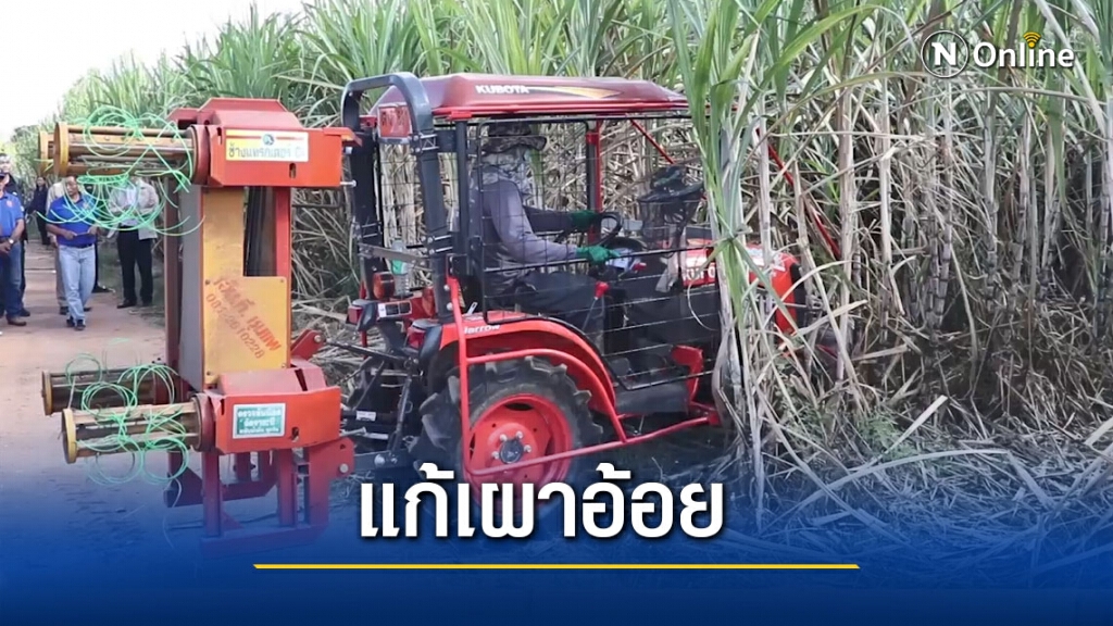 ใช้เครื่องสางใบอ้อยแทนการเผาหวั่นพีเอ็ม2.5 หนัก ใช้เครื่องสางใบอ้อยแทนการเผาหวั่นพีเอ็ม2.5 หนัก