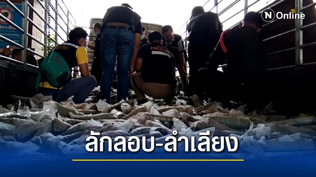 ป.ป.ส.ชี้ปาดังเบซาร์เส้นทางลำเลียงกระท่อม
