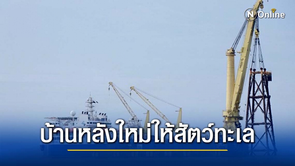 สร้างบ้านหลังใหม่ให้สัตว์ทะเลจากขาแท่นหลุมผลิตปิโตรเลียม