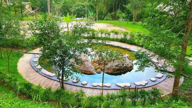 ดอกซากุระเมืองไทยบานสะพรั่งรับลมหนาว