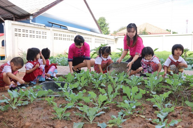 ปลูกผักกินเอง-ขายเอง"สร้างค่านิยมกินผัก