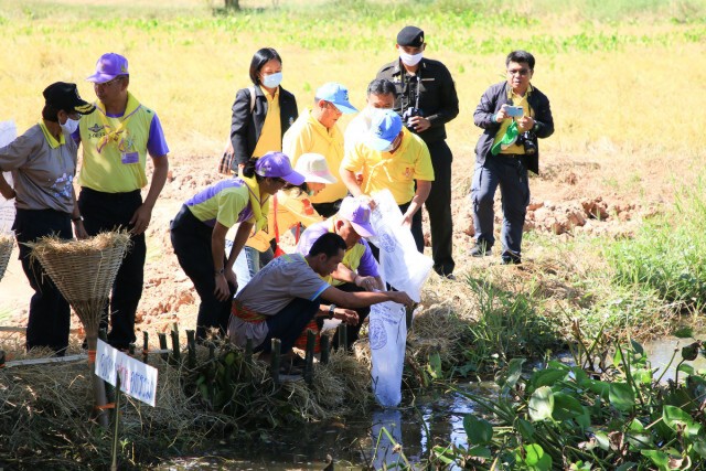 เอามื้อสามัคคีสู่โคกหนองนากัลยาณมิตรเศรษฐกิจพอเพียง